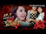 ม่านดอกงิ้ว ตอนที่ 7 วันที่ 24 สิงหาคม 2559