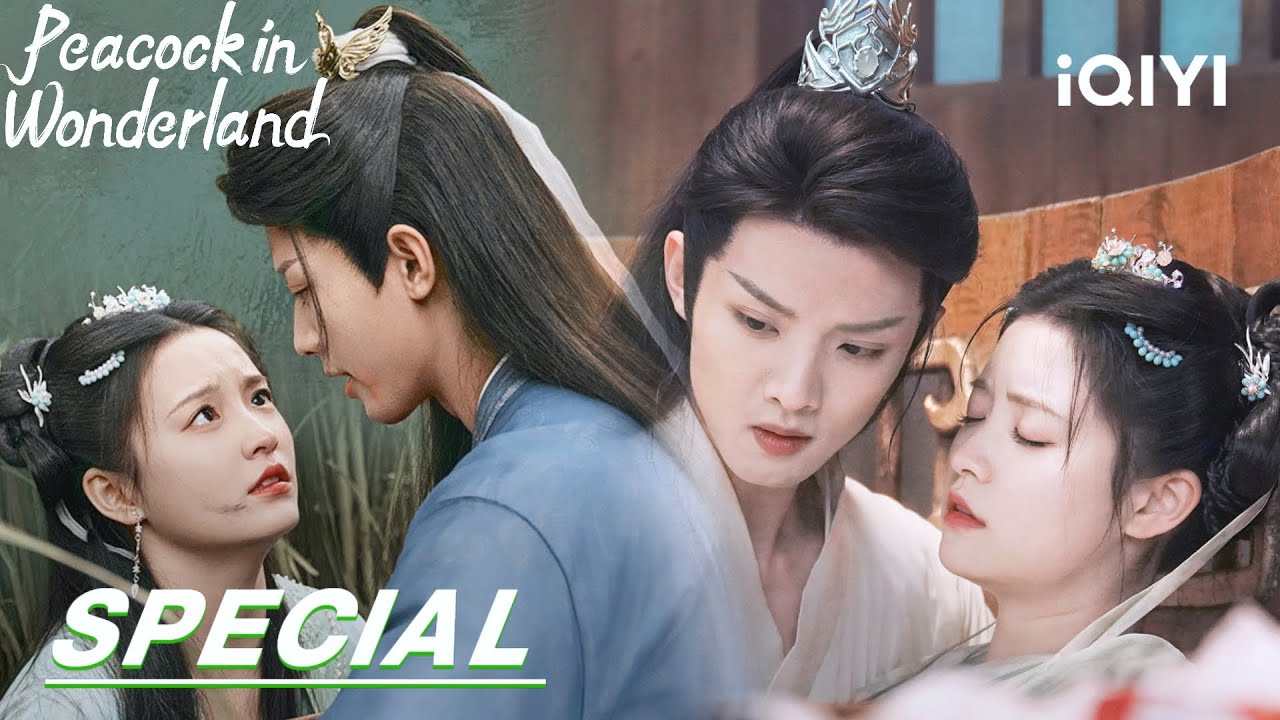 EP.40 มหัศจรรย์รักทูตนกยูง พากย์ไทย ตอนที่ 40